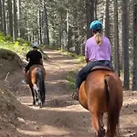 Camigliatello