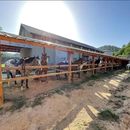 Hotel Camigliatello Camigliatello Silano