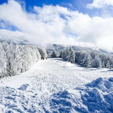 Camigliatello Hotel 4*