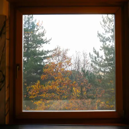 Hotel Camigliatello 4*