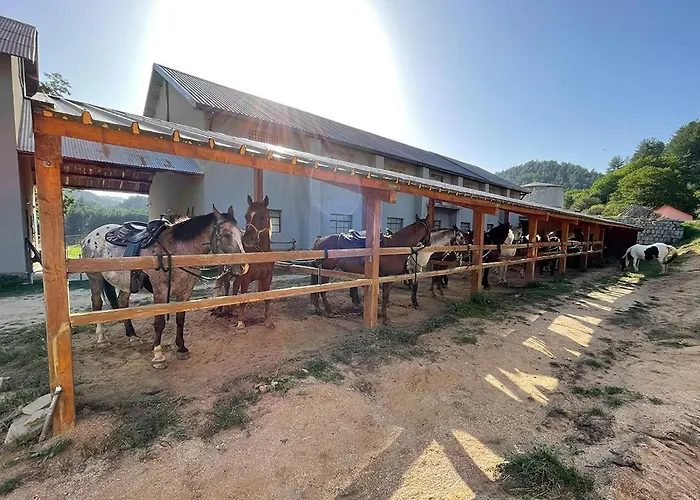 酒店 Camigliatello 卡迈格拉特罗希拉诺