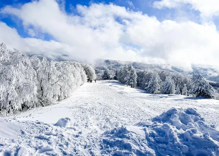 Camigliatello מלון 4*