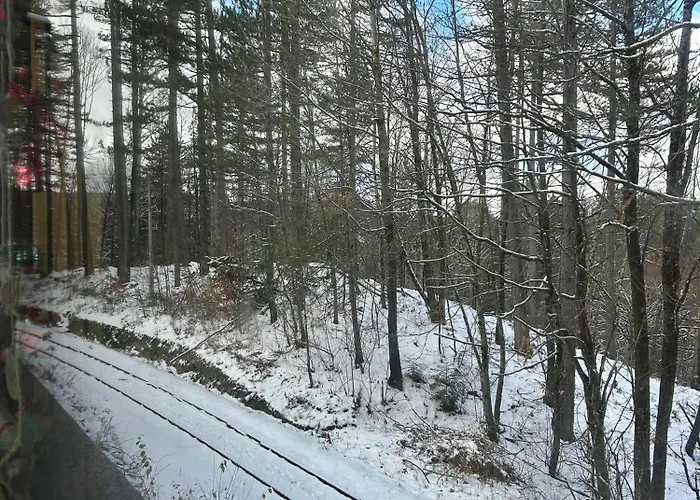 Camigliatello 4* קמיליאטלו סילאנו