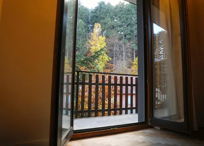 酒店 Camigliatello 4*